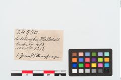 Etiketten zu Bleiring (NHMW-PRAE-024930)